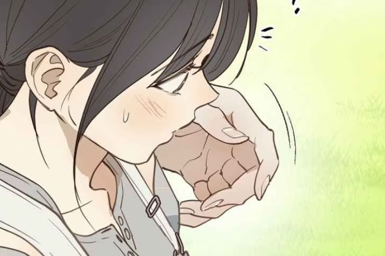 作者將短暫休息，承諾會很快回來！解說 Flowers Are Bait《花是诱饵》第54章