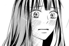 Kimi ni Todoke《只想告訴你》第124章 結尾含義全校最受歡迎的男生喜歡上了這個可怕的女孩